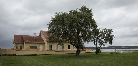 Bølgebryderen